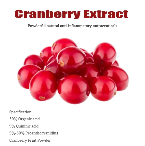 Cranberry Extract Powder Blushwood Berry Extract Cranberry Juice Powder
